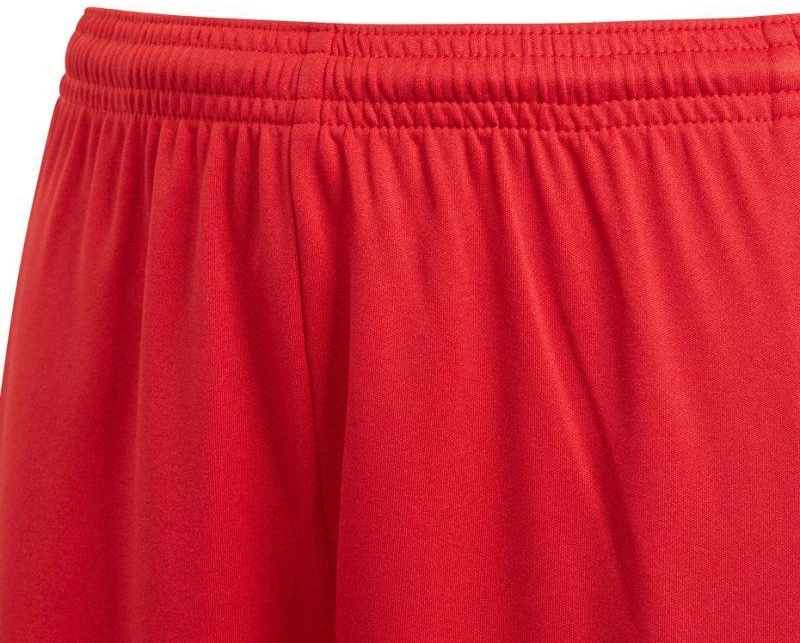 Adidas Squadra 21 Šortai Jaunimui Jr GN5761