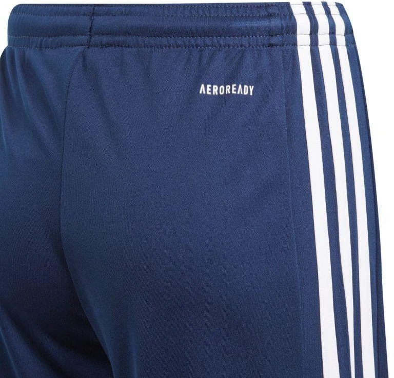 adidas Squadra 21 Šortai Jr GN5764