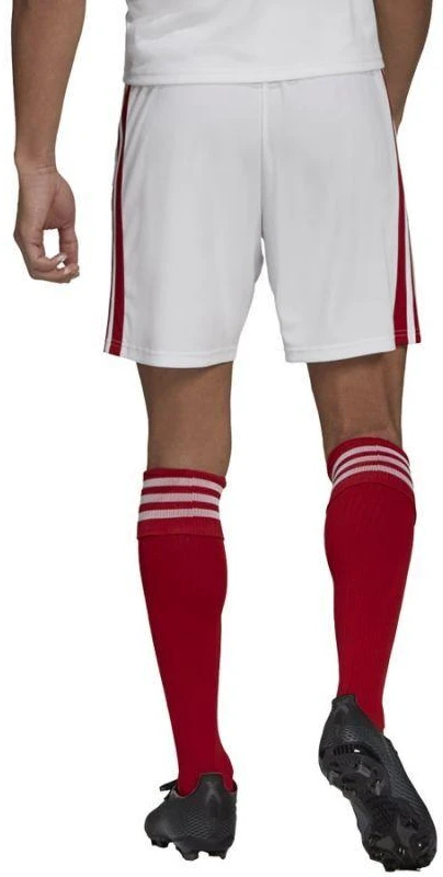 Adidas Squadra 21 Šortai M GN5770