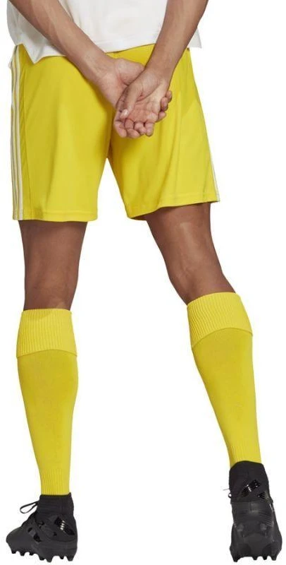 Adidas Squadra 21 šortai M GN5772