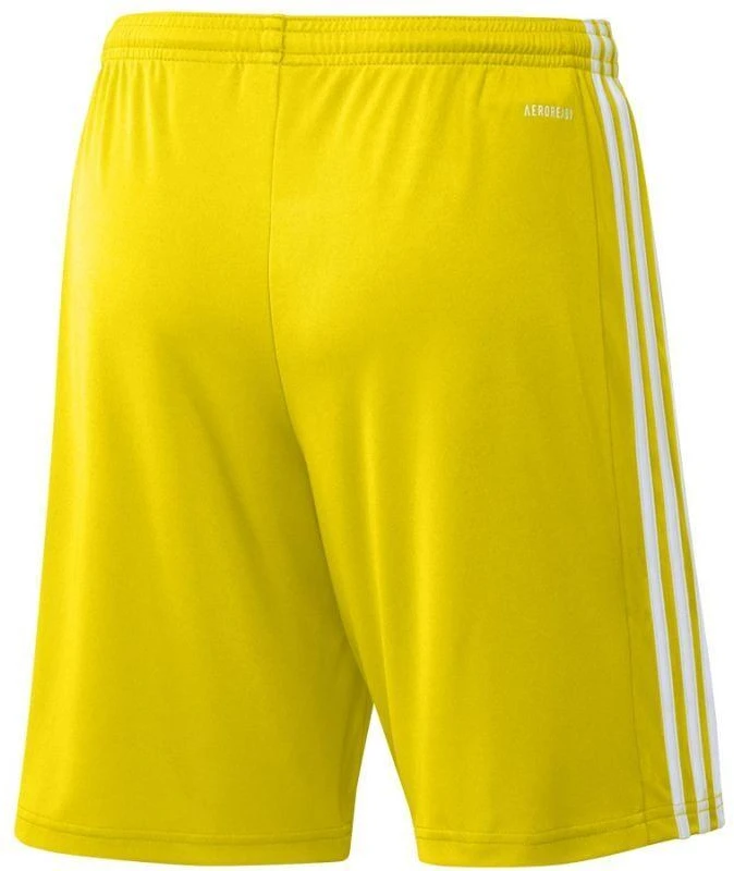 Adidas Squadra 21 šortai M GN5772