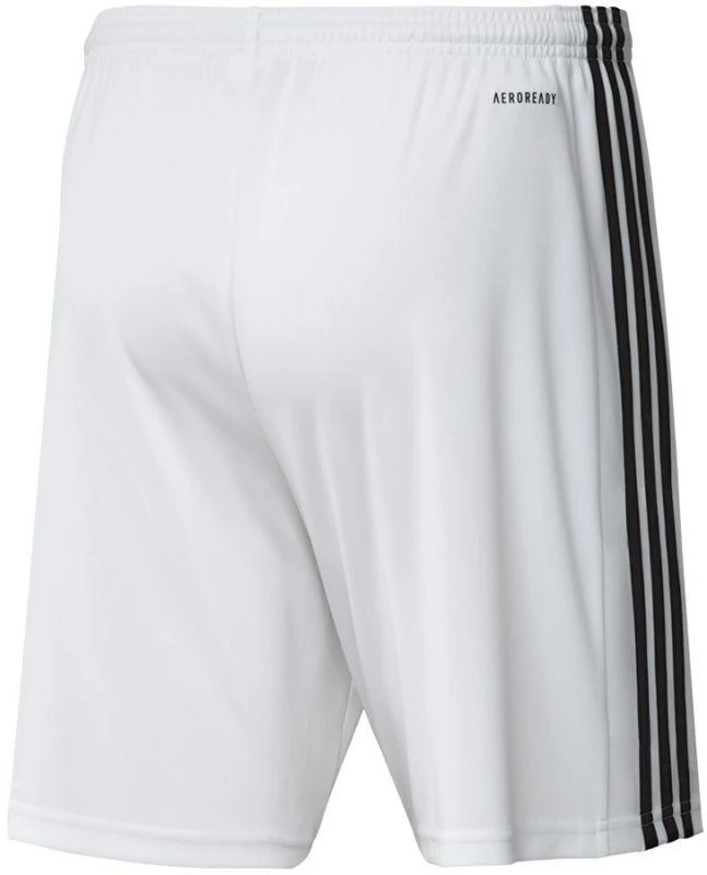 Adidas Squadra 21 šortai M GN5773