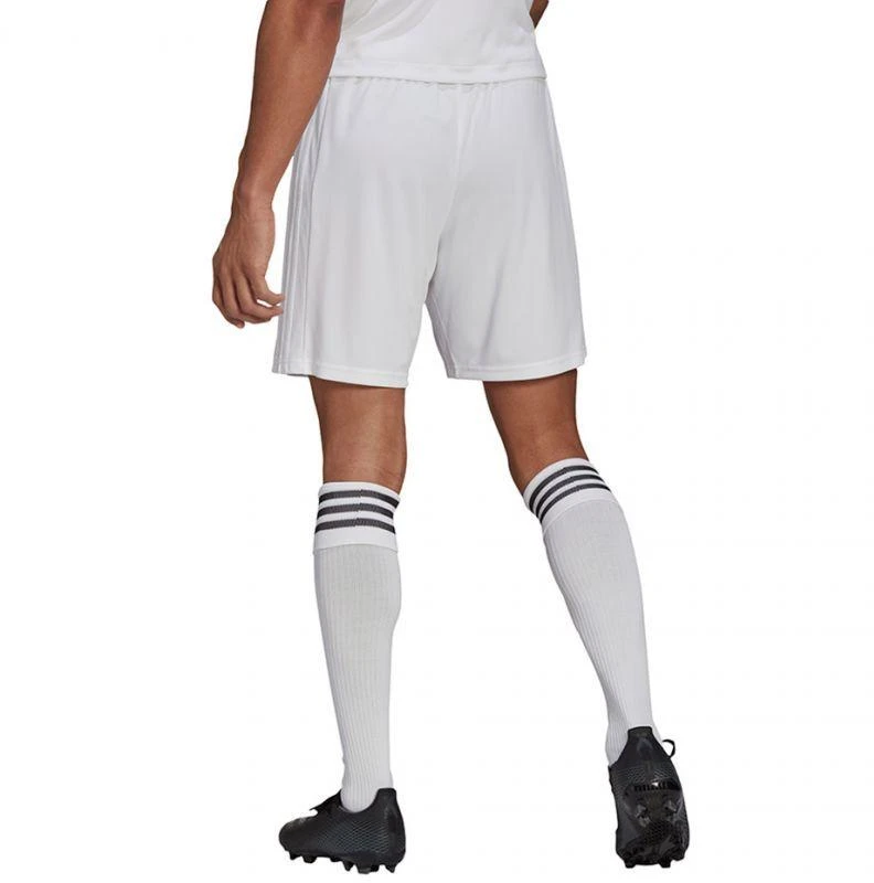 Adidas Squadra 21 Šortai M GN5774