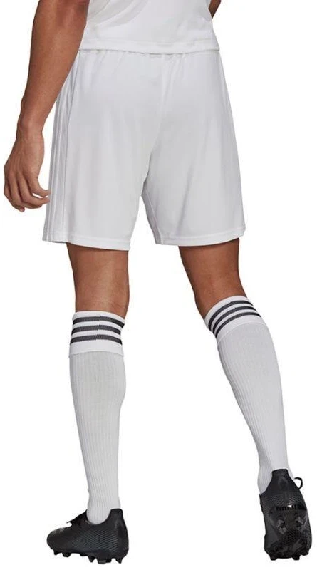 Adidas Squadra 21 Šortai M GN5774