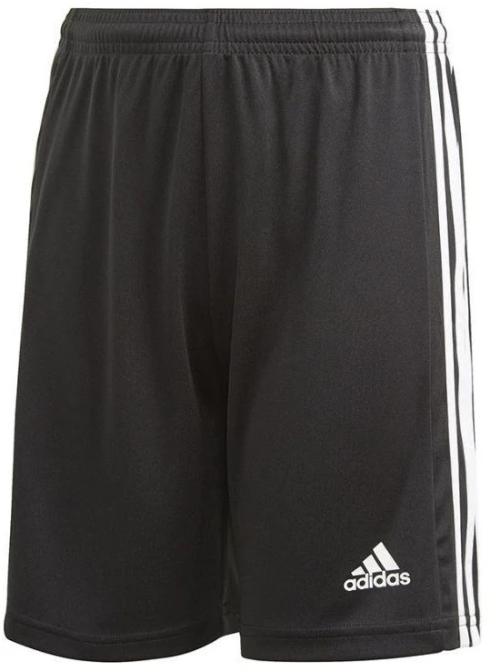 Adidas Squadra 21 Šortai Y Jr GN5767
