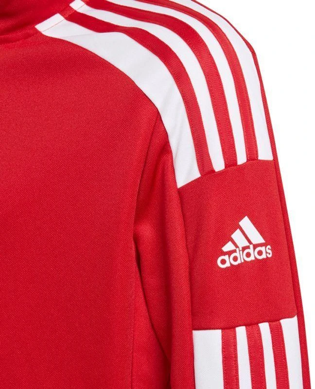 Adidas Squadra 21 treniruočių džemperis jaunimui Jr GP6458