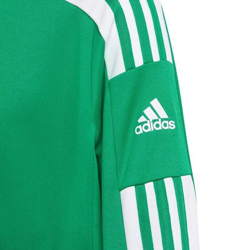 Adidas Squadra 21 treniruočių jaunimo džemperis GP6456