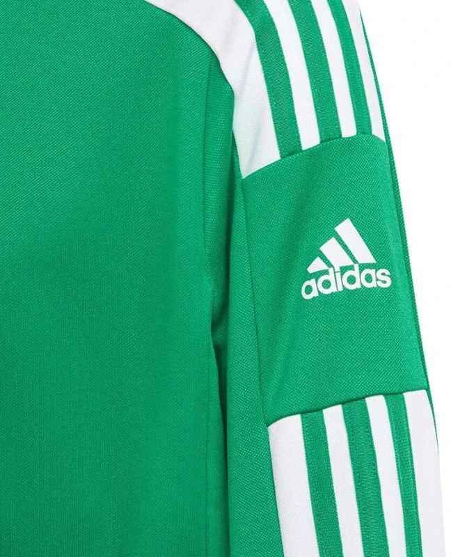 Adidas Squadra 21 treniruočių jaunimo džemperis GP6456
