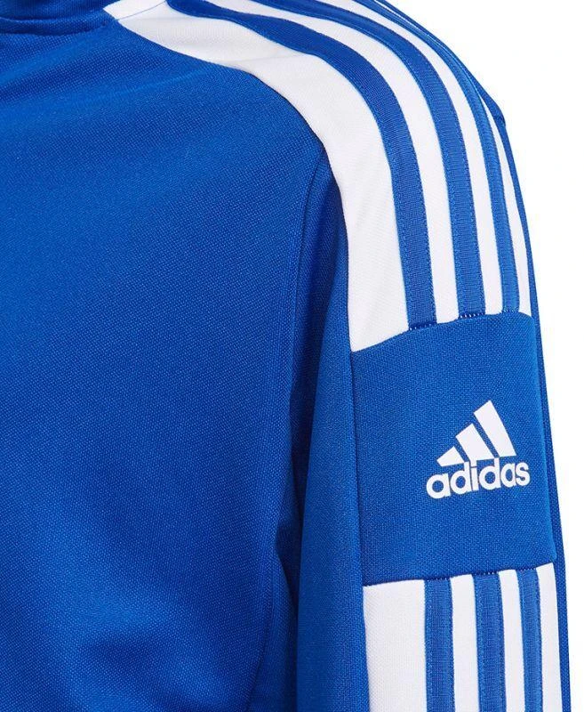 Adidas Squadra 21 Treniruočių Jaunimo Džemperis GP6457