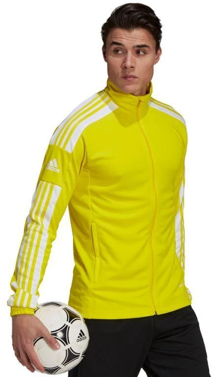 Adidas Squadra 21 Treniruočių M džemperis GP6465