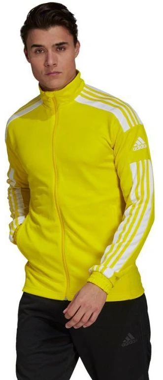 Adidas Squadra 21 Treniruočių M džemperis GP6465