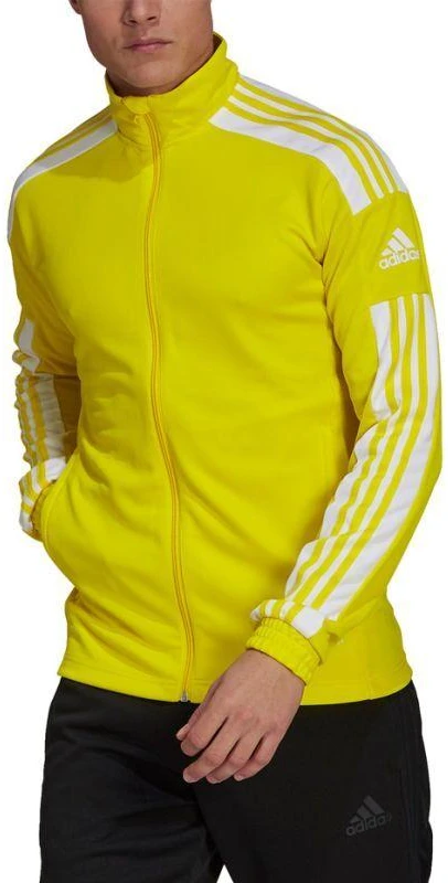 Adidas Squadra 21 Treniruočių M džemperis GP6465