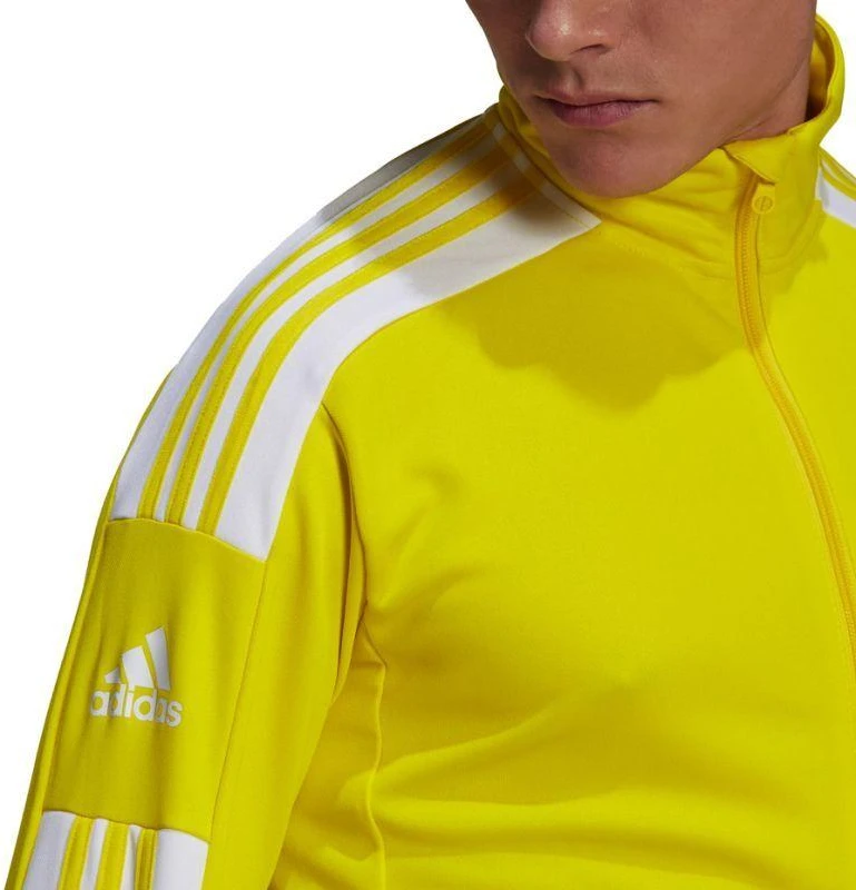 Adidas Squadra 21 Treniruočių M džemperis GP6465