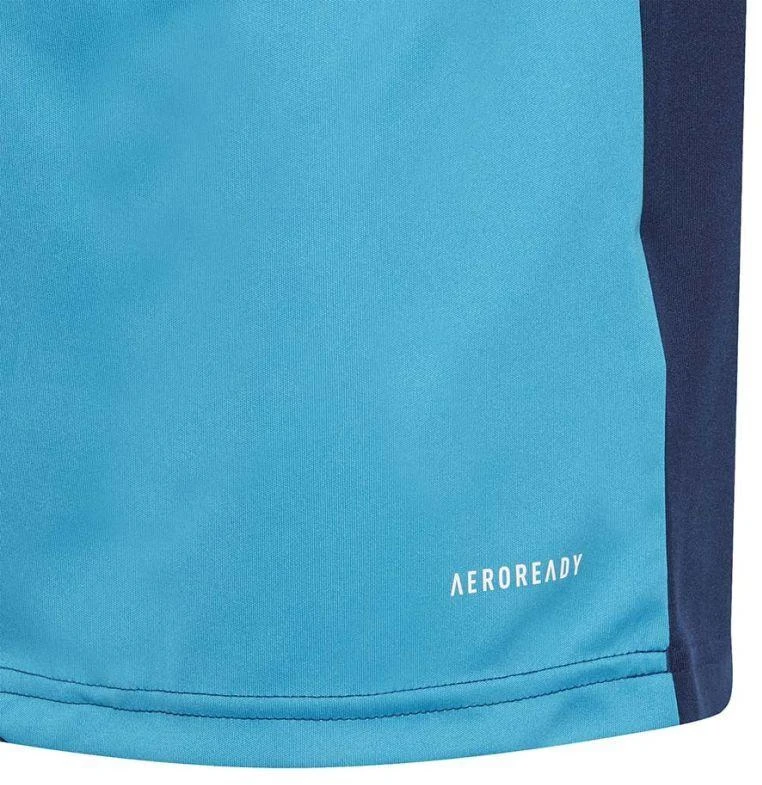 adidas Squadra 21 vartininko apranga jaunimui Jr GN6947