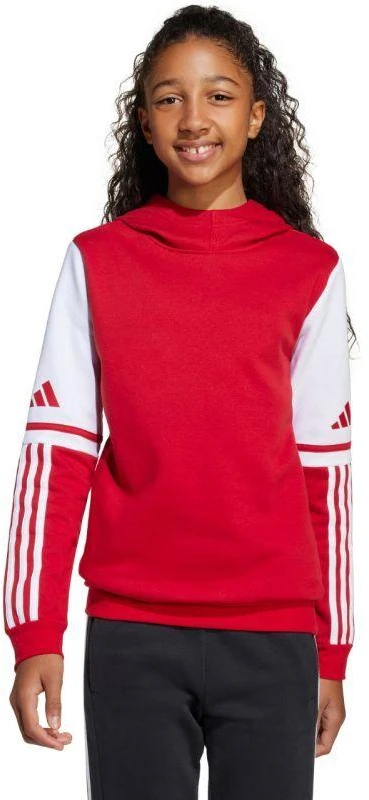 Adidas Squadra 25 džemperis su gobtuvu Jr JD4805