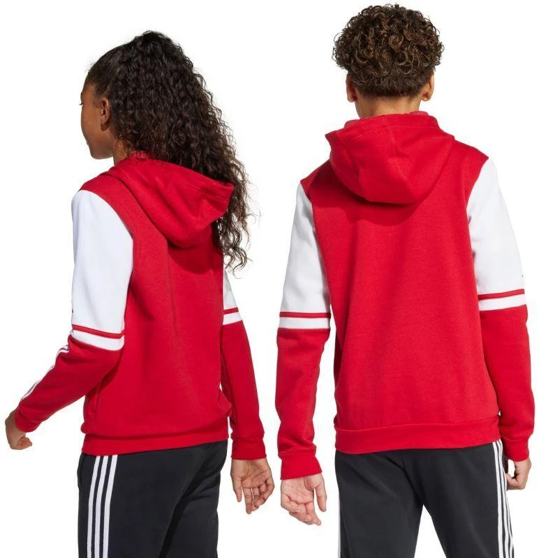 Adidas Squadra 25 džemperis su gobtuvu Jr JD4805