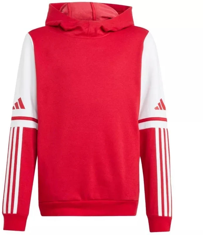 Adidas Squadra 25 džemperis su gobtuvu Jr JD4805