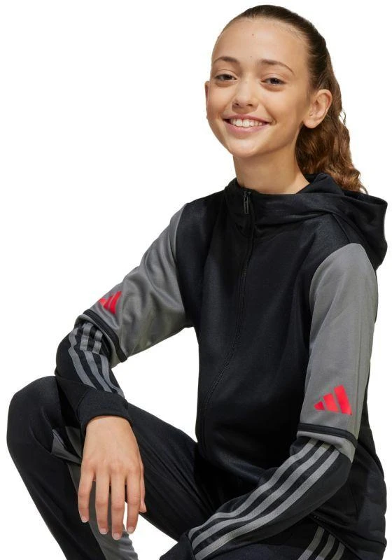 Adidas Squadra 25 Hoodie Jr JD6087 džemperis