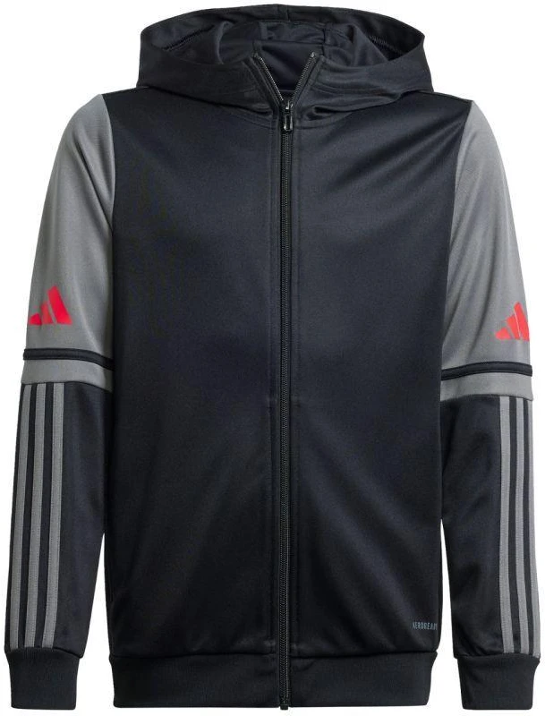 Adidas Squadra 25 Hoodie Jr JD6087 džemperis