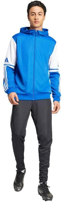 Adidas Squadra 25 Hoody M JD2991 džemperis