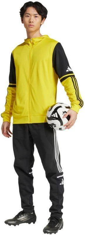 Adidas Squadra 25 Hoody M JL7679 džemperis
