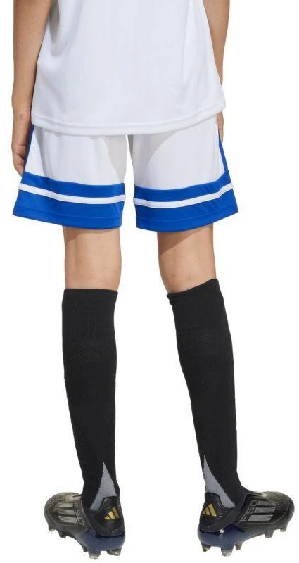 adidas Squadra 25 Jr JJ2425 Šortai