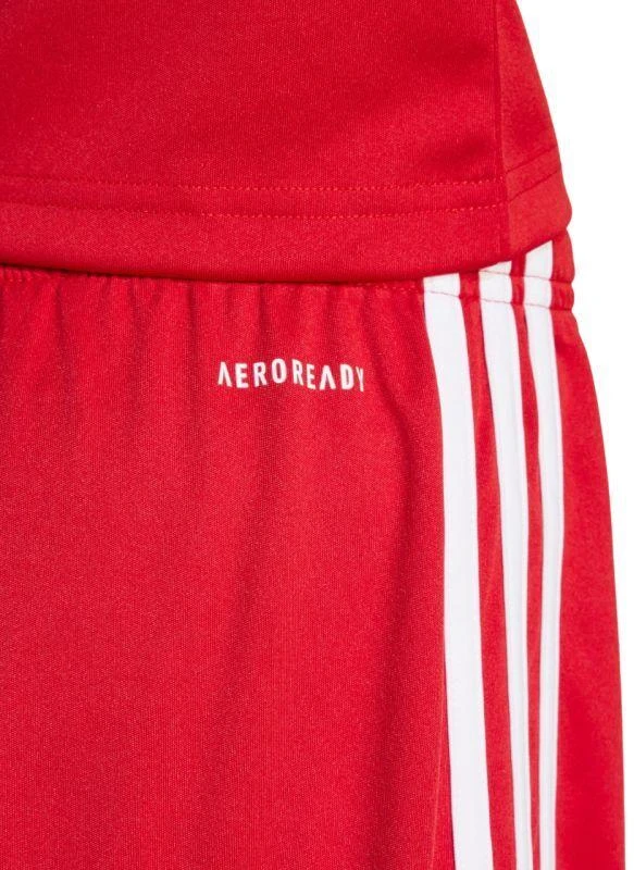 adidas Squadra 25 Jr Šortai JJ2416