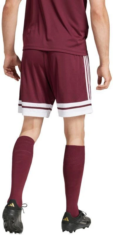 adidas Squadra 25 M JC8677 šortai