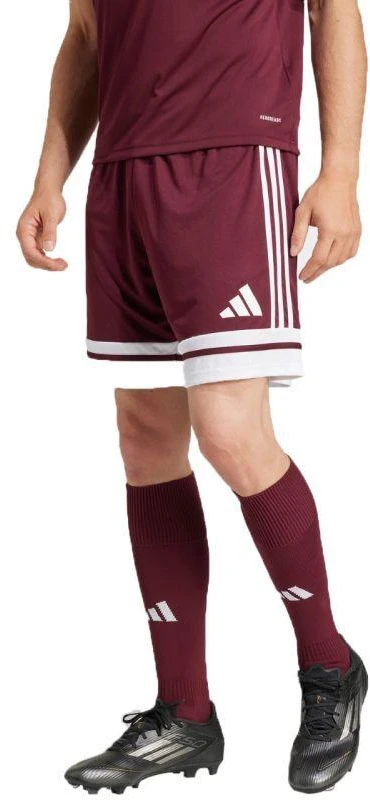 adidas Squadra 25 M JC8677 šortai