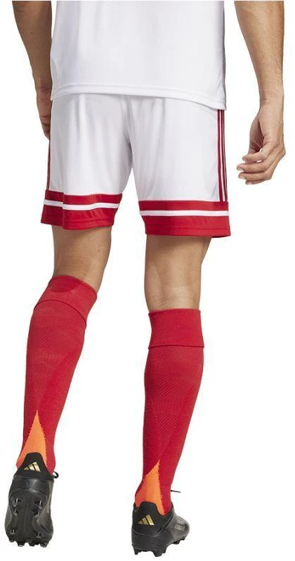 adidas Squadra 25 M JH3404 šortai