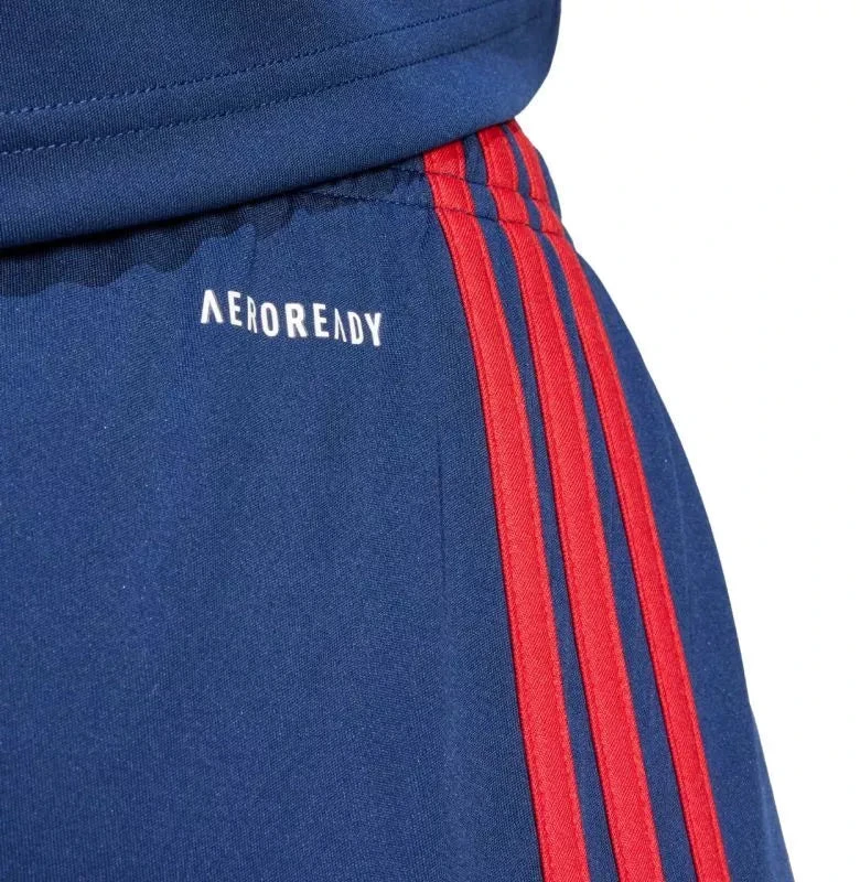 adidas Squadra 25 M JH3408 šortai