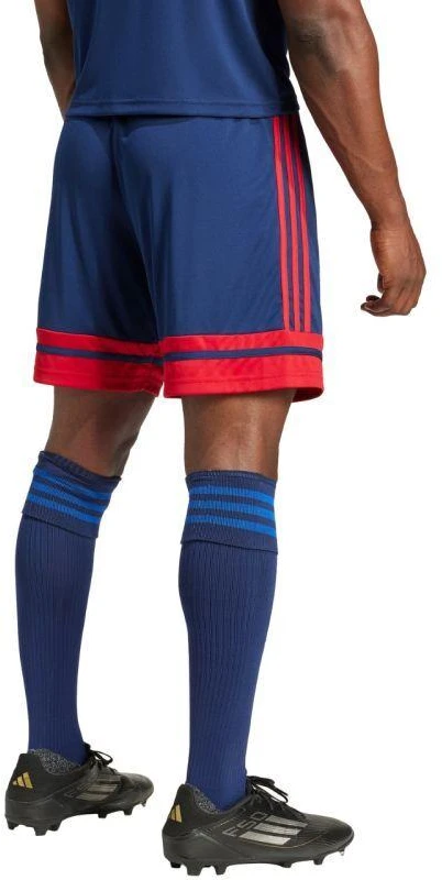adidas Squadra 25 M JH3408 šortai