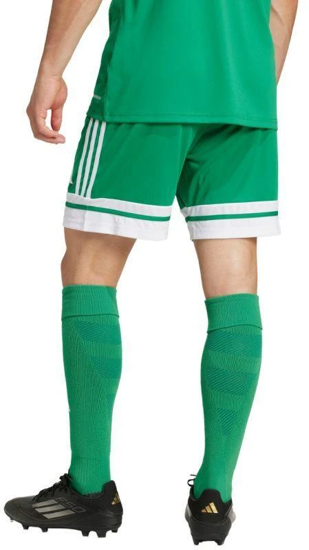 adidas Squadra 25 M JN7482 šortai