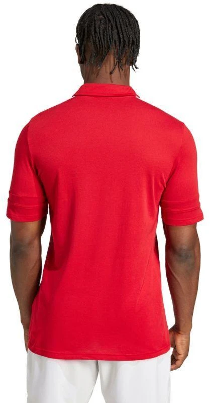 Adidas Squadra 25 Polo marškinėliai M JY3418
