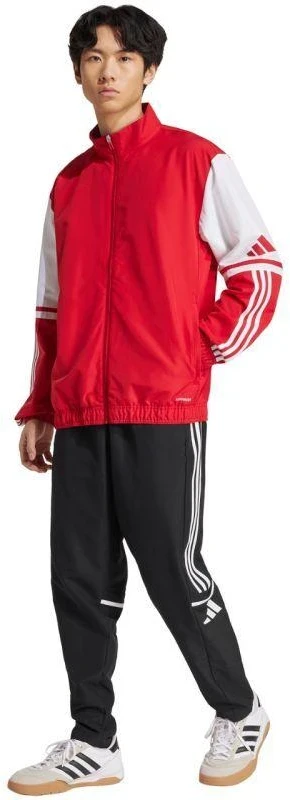 Adidas Squadra 25 Presentation M džemperis JD2969