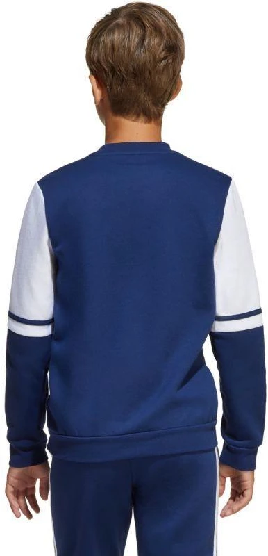 Adidas Squadra 25 Sweat Crew Jr JD4814 džemperis
