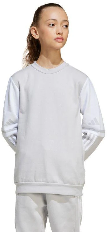 Adidas Squadra 25 Sweat Crew Jr JD4824 džemperis