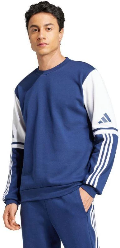 Adidas Squadra 25 Sweat Crew M JD2958 džemperis