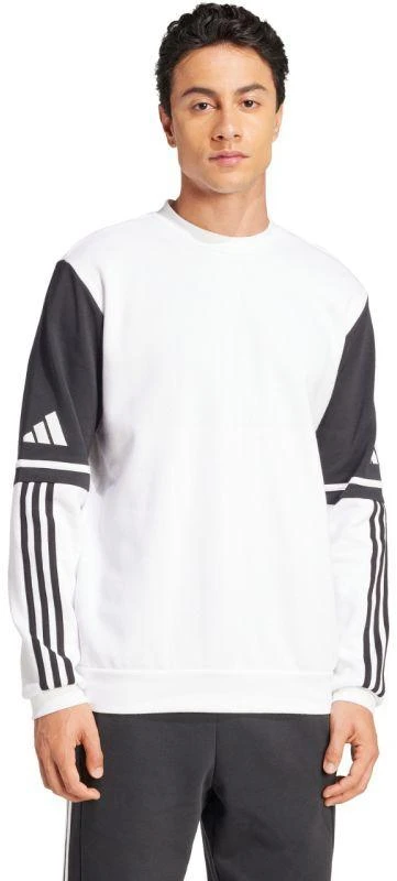 Adidas Squadra 25 Sweat Crew M JD2959 džemperis