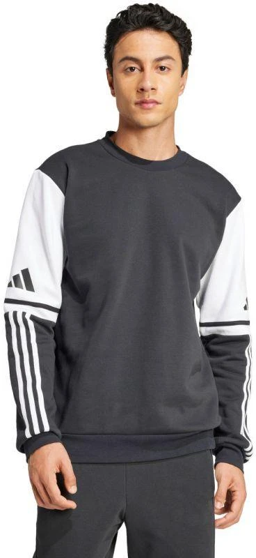 Adidas Squadra 25 Sweat Crew M JE2780 džemperis