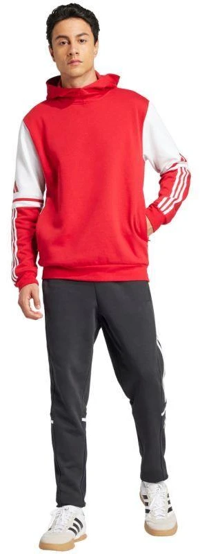 Adidas Squadra 25 Sweat M JD2973 džemperis