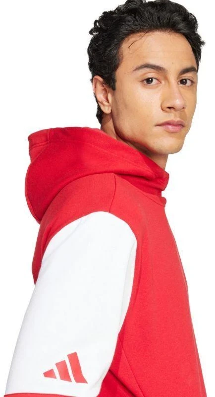 Adidas Squadra 25 Sweat M JD2973 džemperis