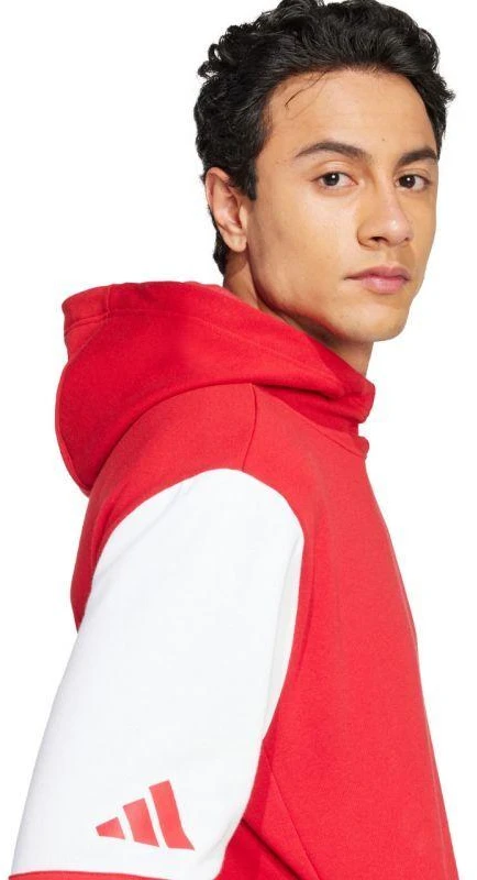 Adidas Squadra 25 Sweat M JD2973 džemperis