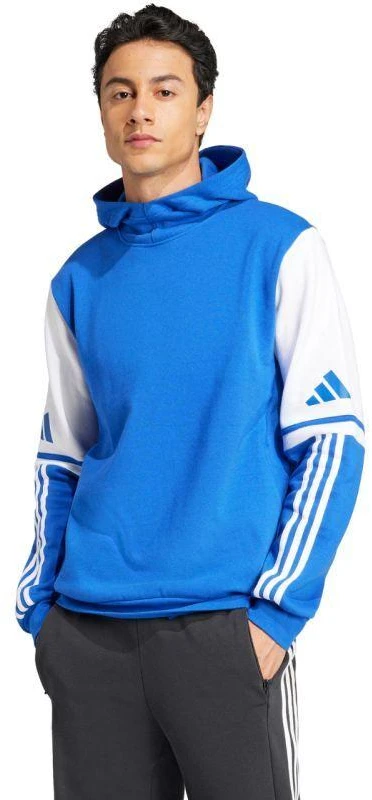 Adidas Squadra 25 Sweat M JD2974 džemperis