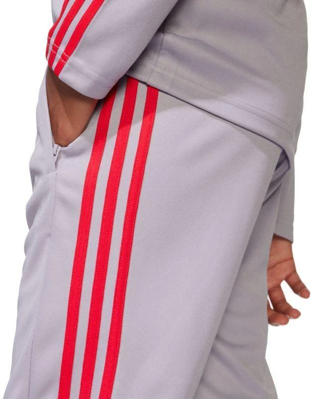 adidas Squadra 25 Training Jr Kelnės JP3369
