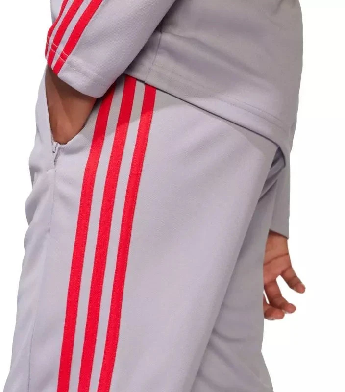 adidas Squadra 25 Training Jr Kelnės JP3369