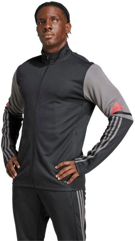 Adidas Squadra 25 Training M JD1630 džemperis
