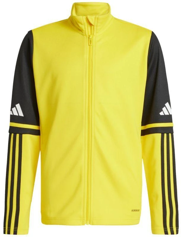 Adidas Squadra 25 Training M JP3388 sportinis džemperis