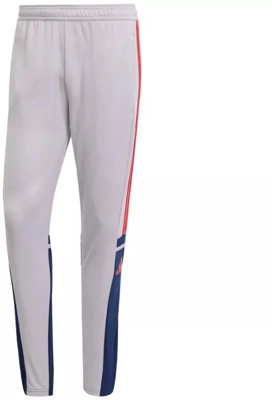 Adidas Squadra 25 Treniruočių Kelnės M JP3372