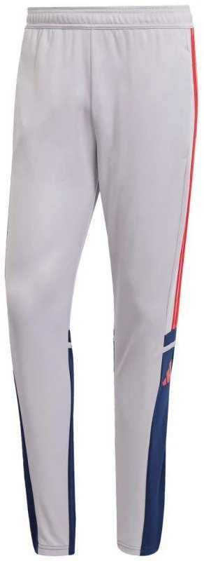 Adidas Squadra 25 Treniruočių Kelnės M JP3372